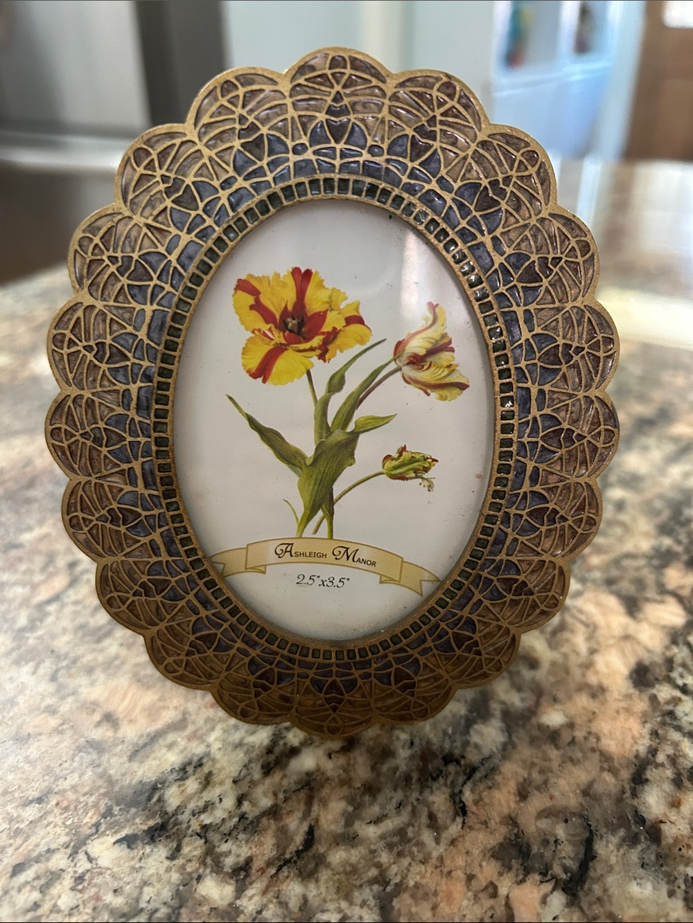 Vintage Ashley Manor Antique-Style Gold Oval Filigree Picture Frame - Gold